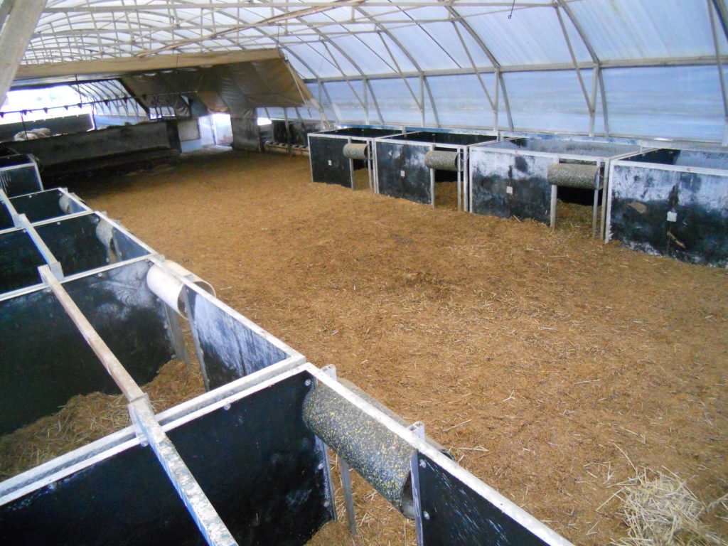 Deep Litter Group System